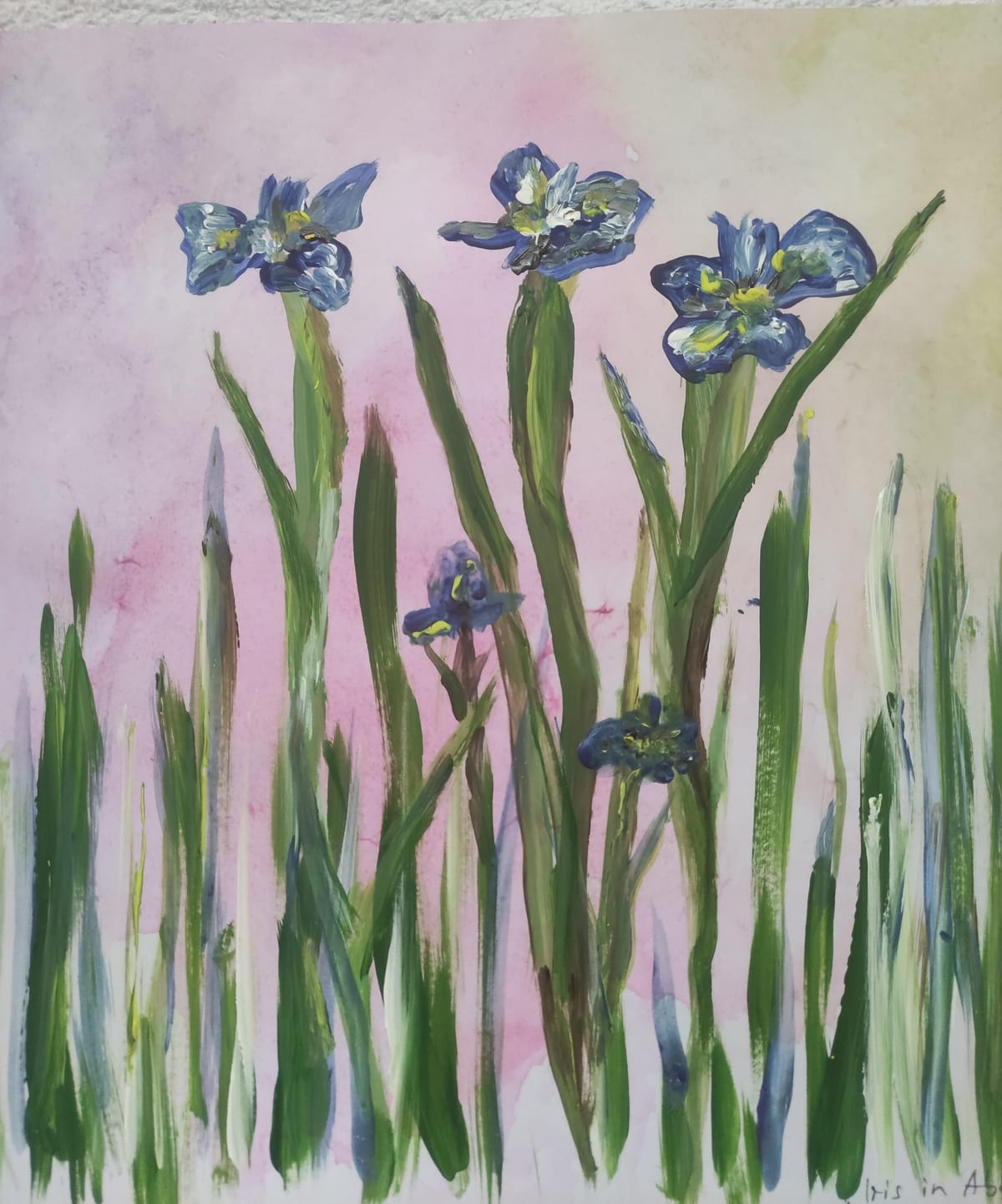 Iris' Iris