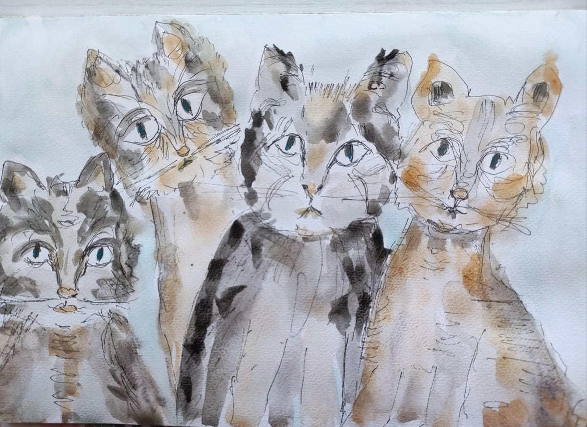 Katzenquartett