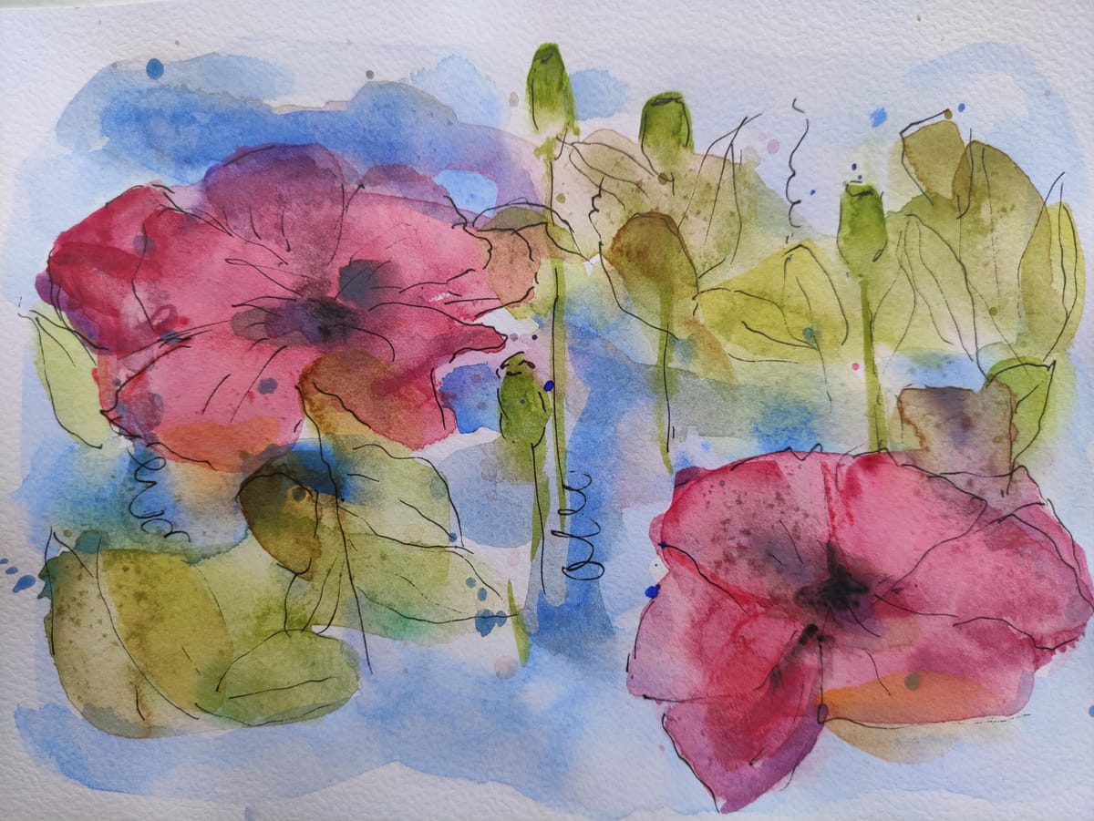 Mohnblumen